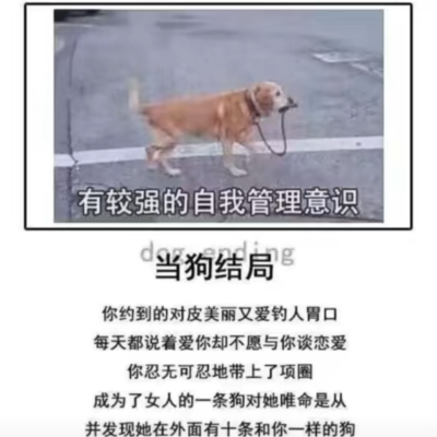 汪汪什么呢汪汪