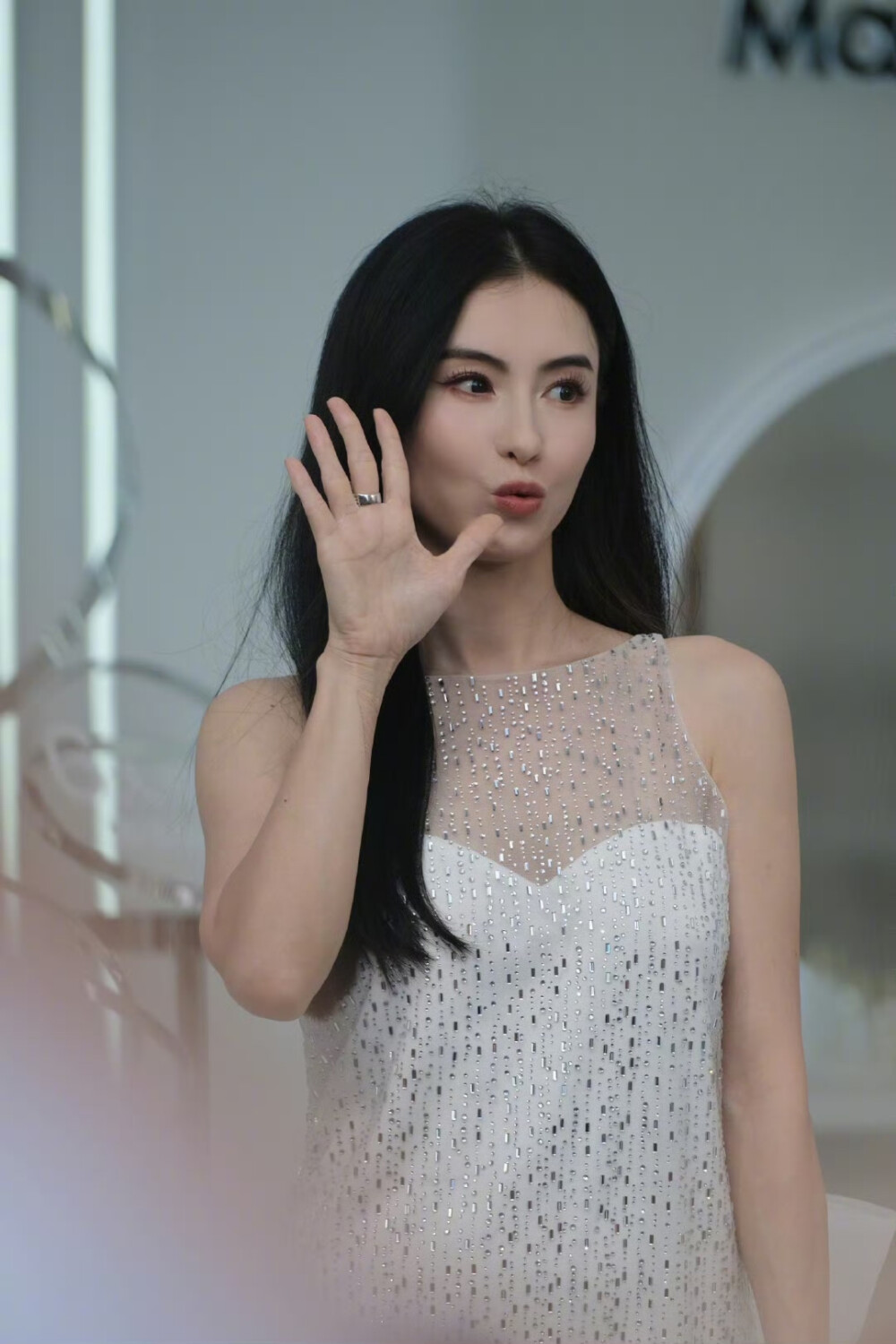 张柏芝