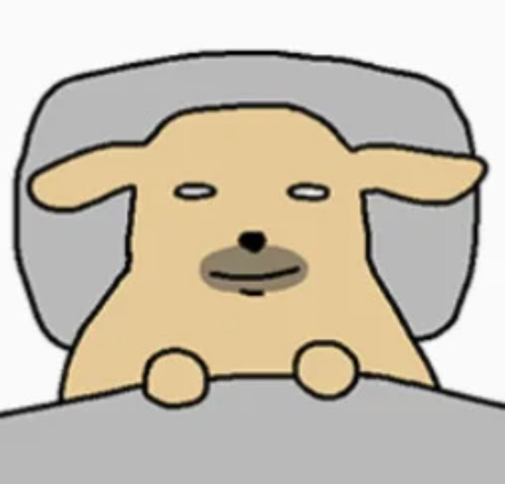 表情
