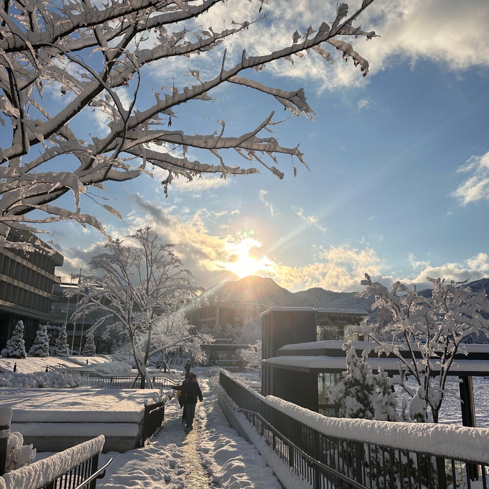 背景图