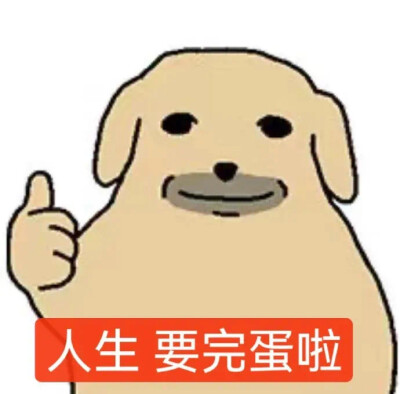 表情