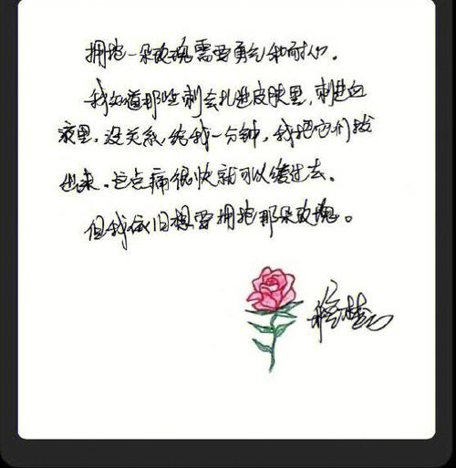 我只喜欢你的人设