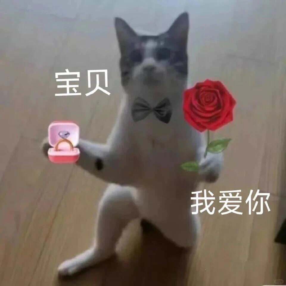 沙雕猫咪表情包