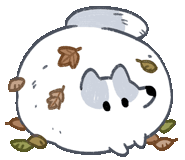 小狐狸表情包