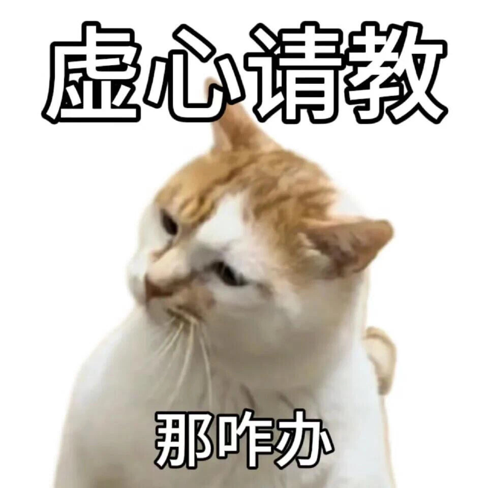 沙雕猫咪表情包