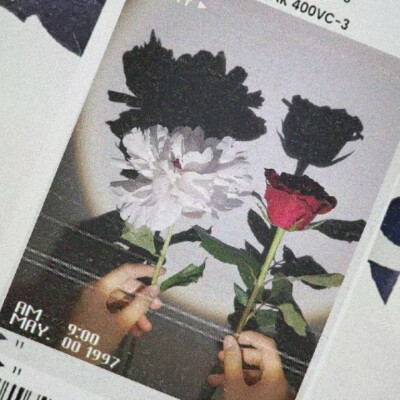 博君一肖