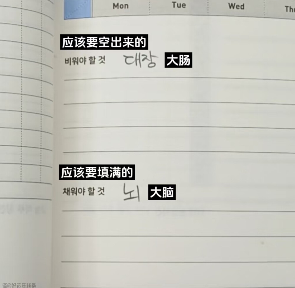 嘿嘿