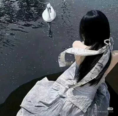 自由的