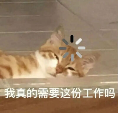 猫猫狗狗