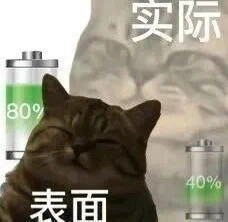 貓貓表情包