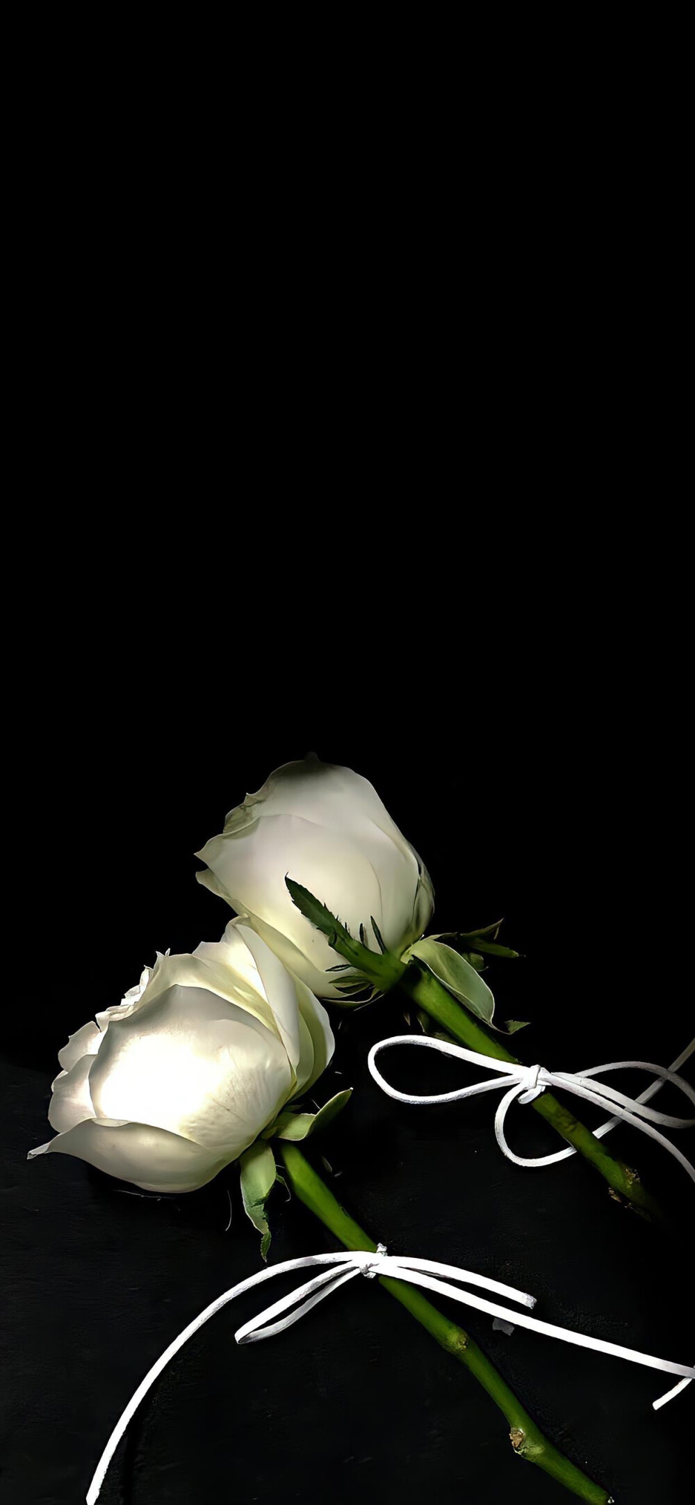 高清图片,堆糖,美图壁纸兴趣社区