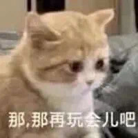 猫猫表情包