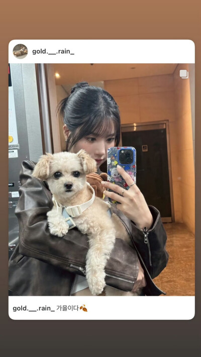 权恩妃