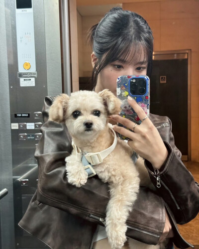 权恩妃