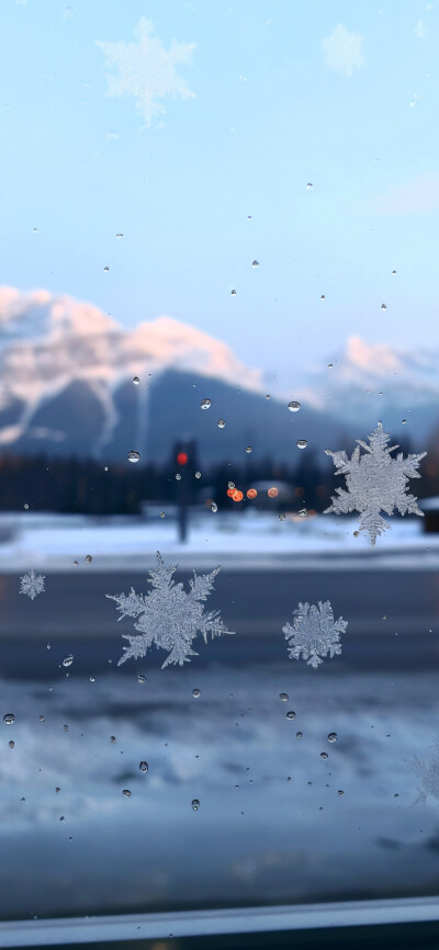 雪 原图转自小红书