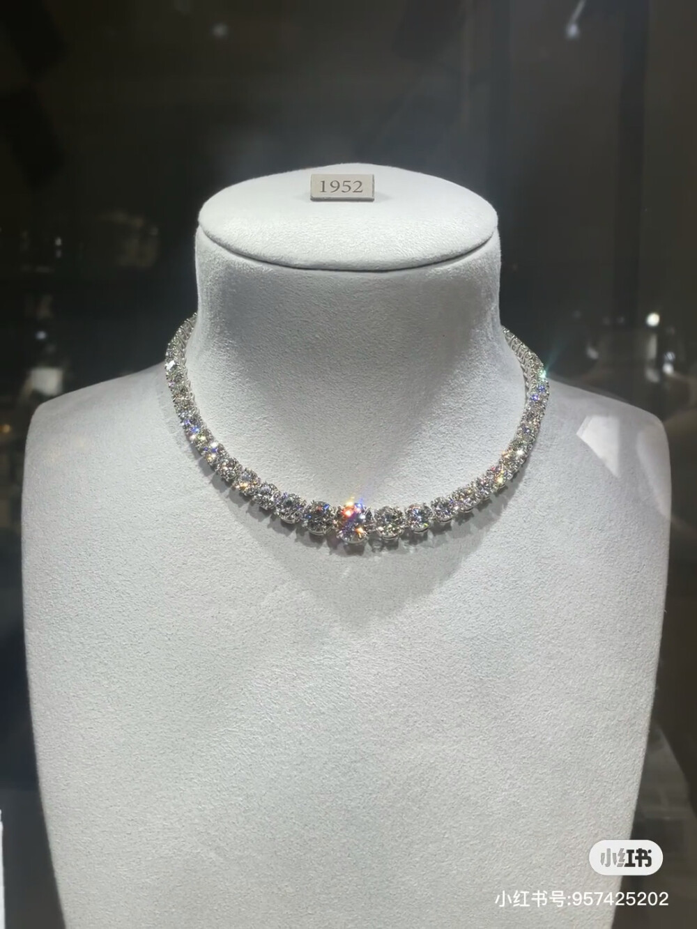 璀璨-小红书转载