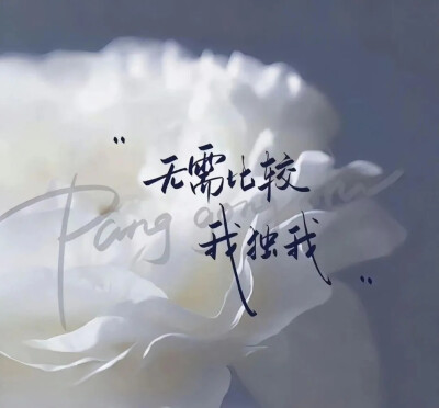 微信背景图