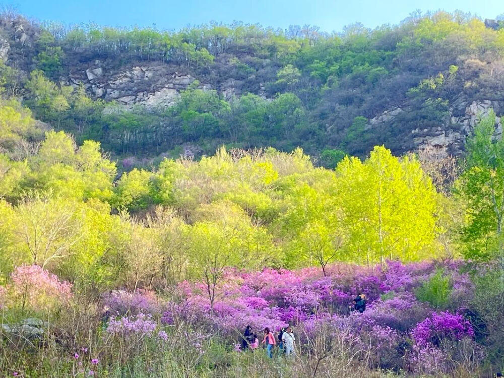 最美风景