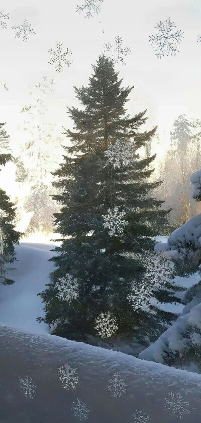 雪花套图