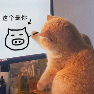 头像越怪人越可爱ﻮ