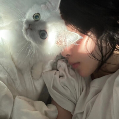 Cattt、
