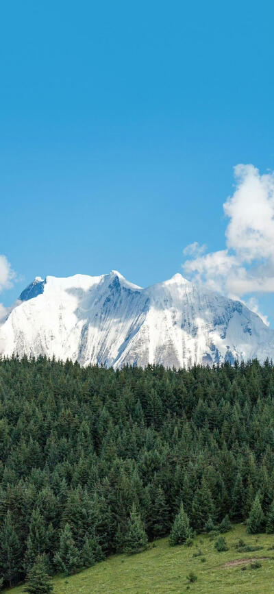 风景壁纸