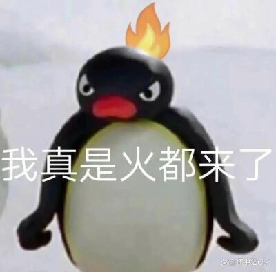 哈哈