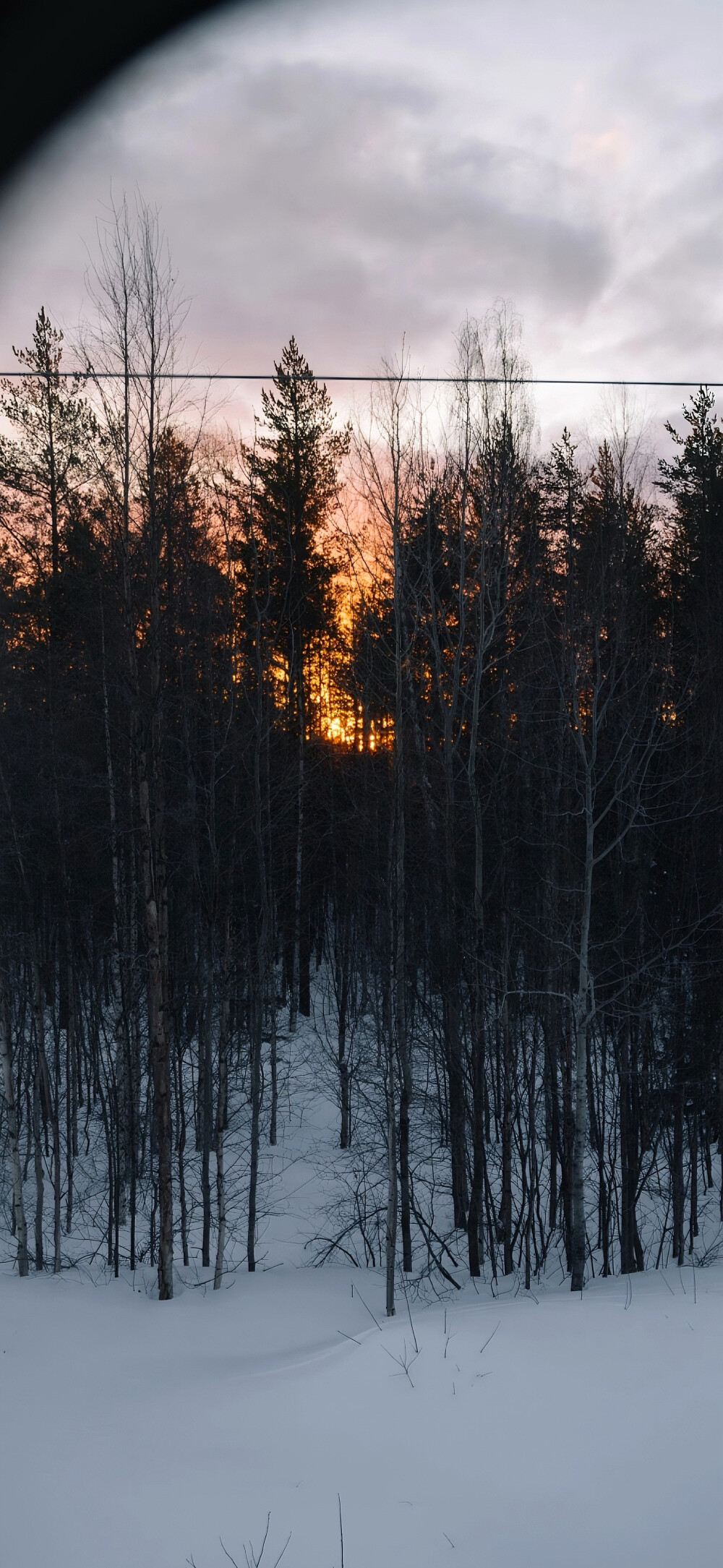 风景壁纸