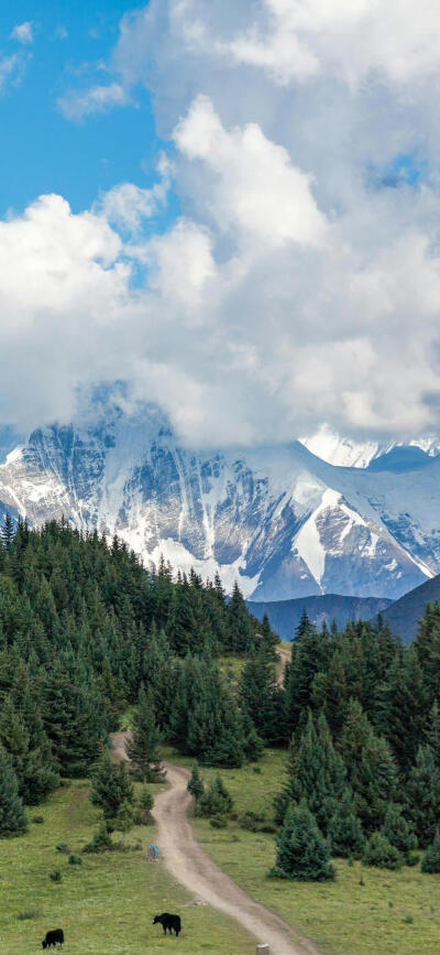 风景壁纸