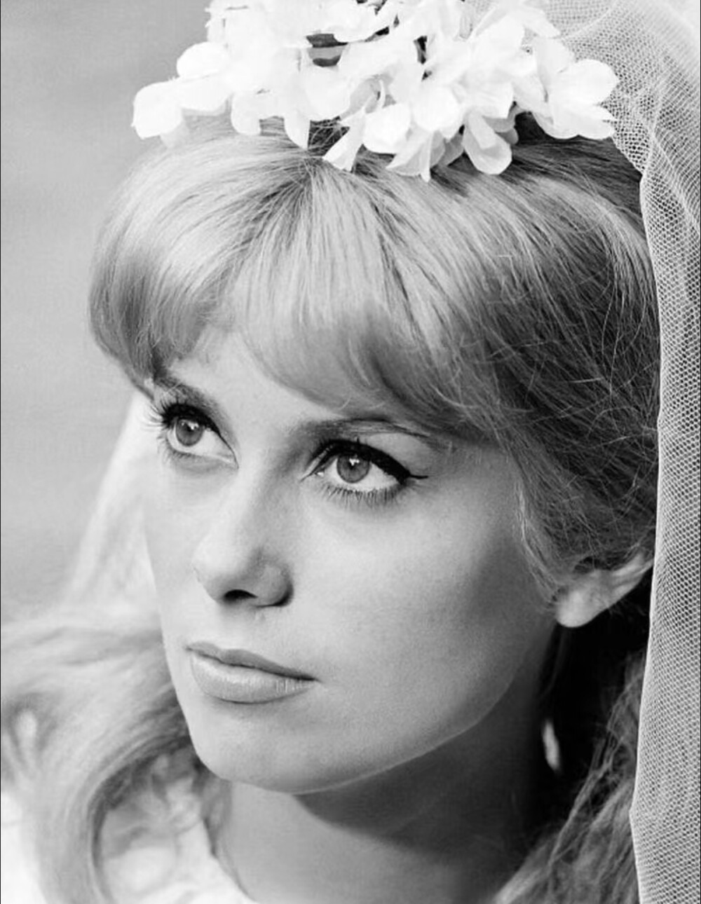 Catherine Deneuve 