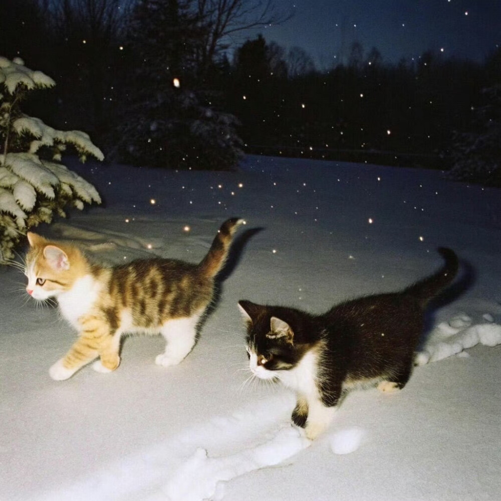 比起和你一起看初雪 我更想为你下一场初雪