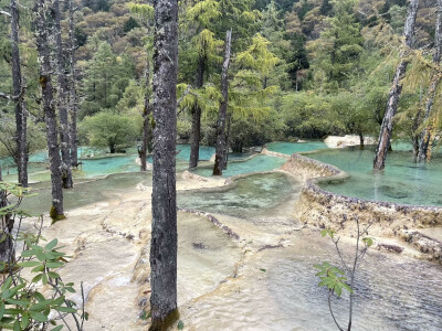 黄龙风景区位于四川省阿坝藏族羌族自治州松潘县境内 ，是中国唯一保护完好的高原湿地，也是国家 AAAAA 级旅游景区、世界自然遗产 。