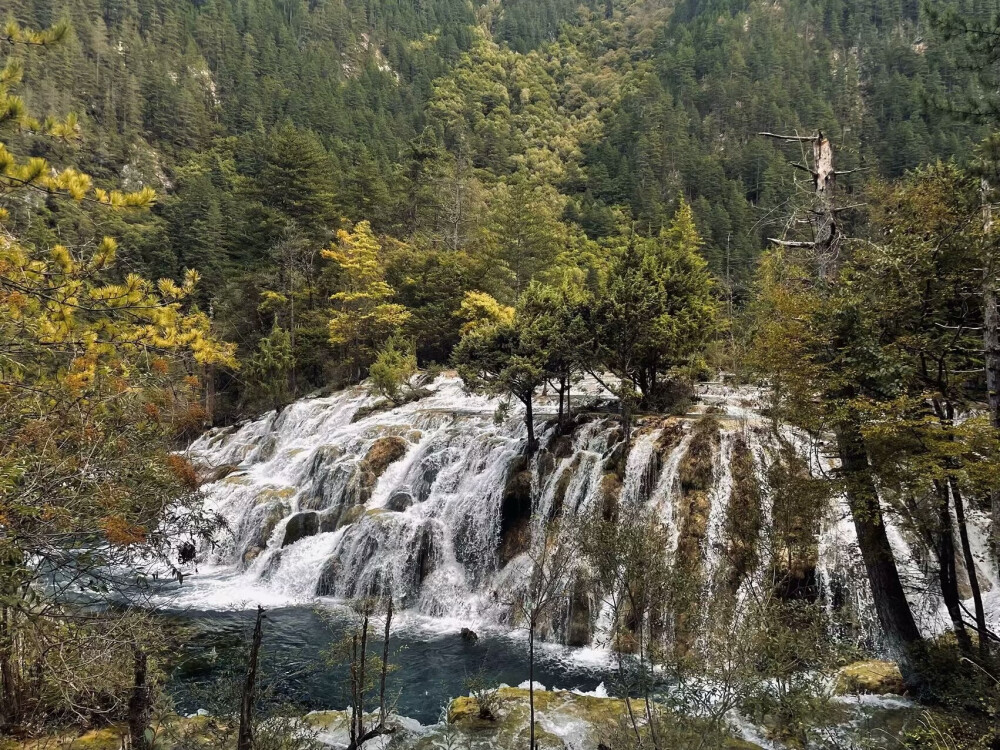 九寨沟风景区位于四川省阿坝藏族羌族自治州九寨沟县漳扎镇。九寨沟是世界自然遗产、国家 AAAAA 级旅游景区、国家级自然保护区、国家地质公园、世界生物圈保护区网络 。