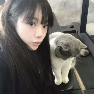 猫猫女生头像
老婆萌有喜欢猫猫的嘛