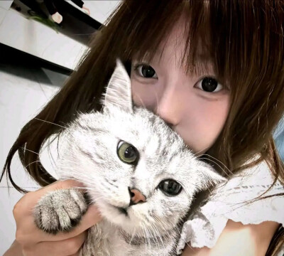 猫猫女生头像
老婆萌有喜欢猫猫的嘛