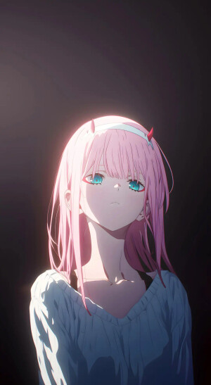 Darling in the Franxx（国家队）