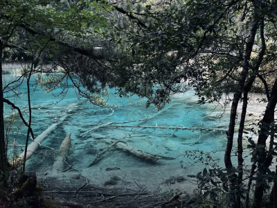 九寨沟风景区位于四川省阿坝藏族羌族自治州九寨沟县漳扎镇。九寨沟是世界自然遗产、国家 AAAAA 级旅游景区、国家级自然保护区、国家地质公园、世界生物圈保护区网络 。