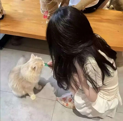 猫猫女生头像
老婆萌有喜欢猫猫的嘛