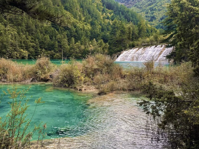 九寨沟风景区位于四川省阿坝藏族羌族自治州九寨沟县漳扎镇。九寨沟是世界自然遗产、国家 AAAAA 级旅游景区、国家级自然保护区、国家地质公园、世界生物圈保护区网络 。