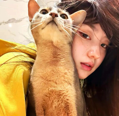 猫猫女生头像
老婆萌有喜欢猫猫的嘛