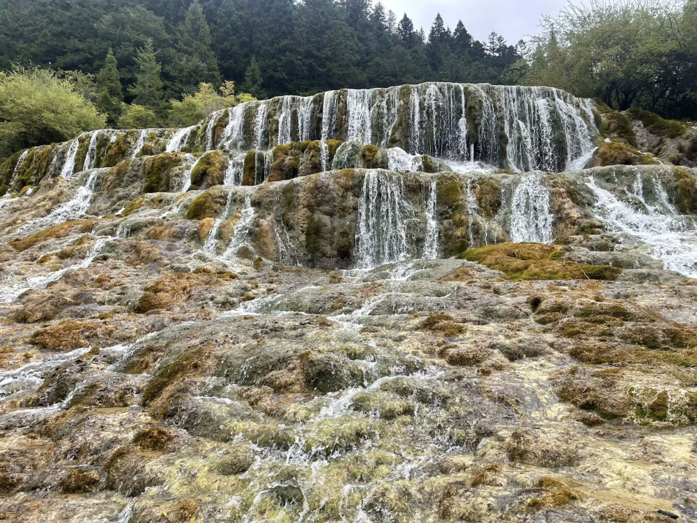 黄龙风景区位于四川省阿坝藏族羌族自治州松潘县境内 ，是中国唯一保护完好的高原湿地，也是国家 AAAAA 级旅游景区、世界自然遗产 。