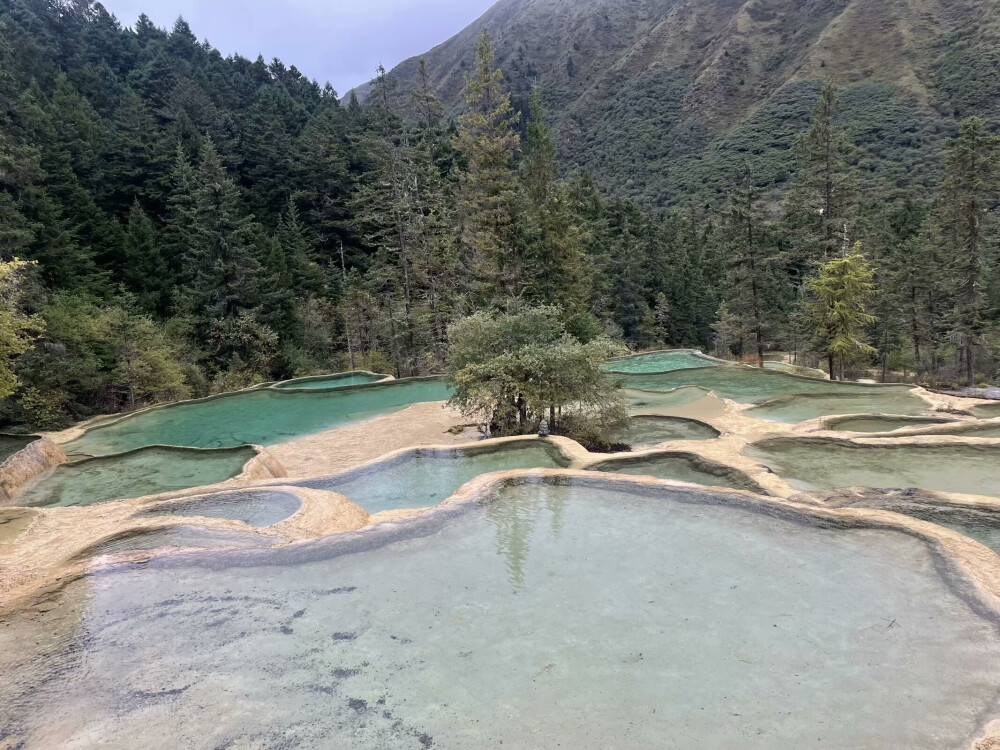 黄龙风景区位于四川省阿坝藏族羌族自治州松潘县境内 ，是中国唯一保护完好的高原湿地，也是国家 AAAAA 级旅游景区、世界自然遗产 。