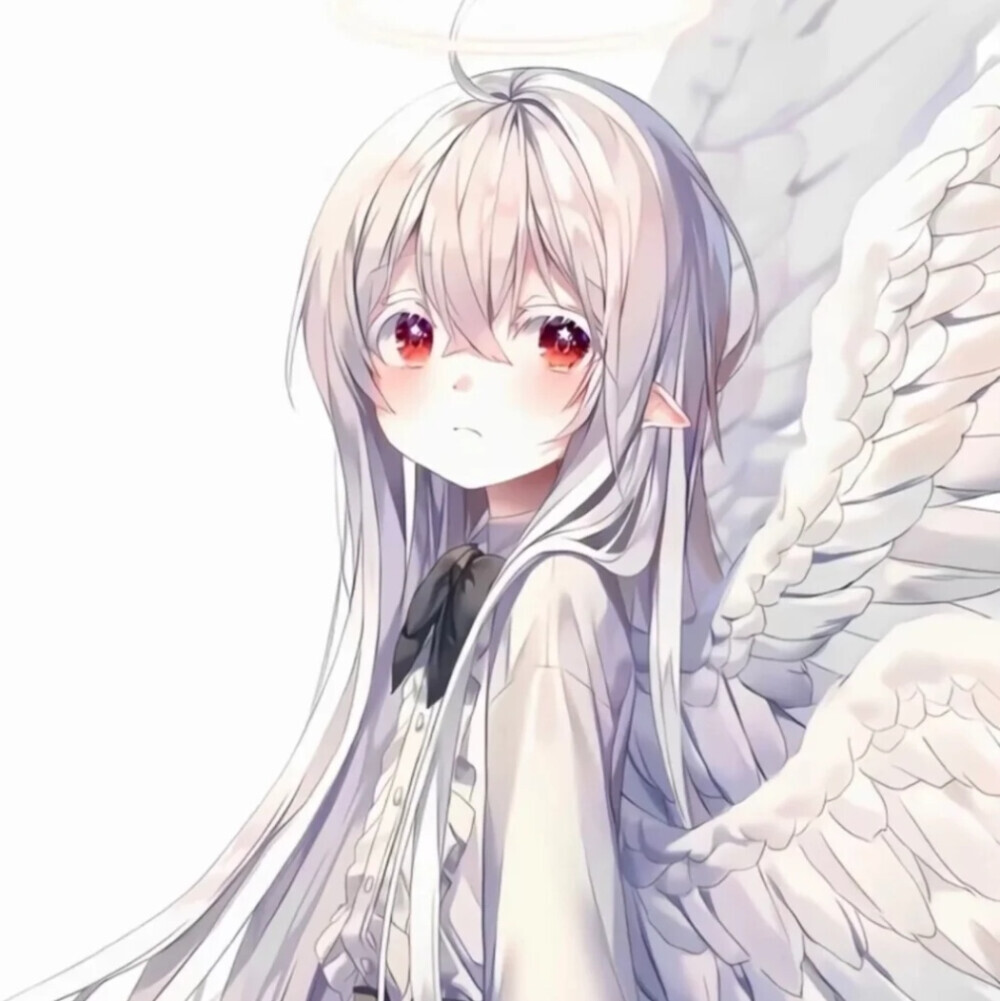纸