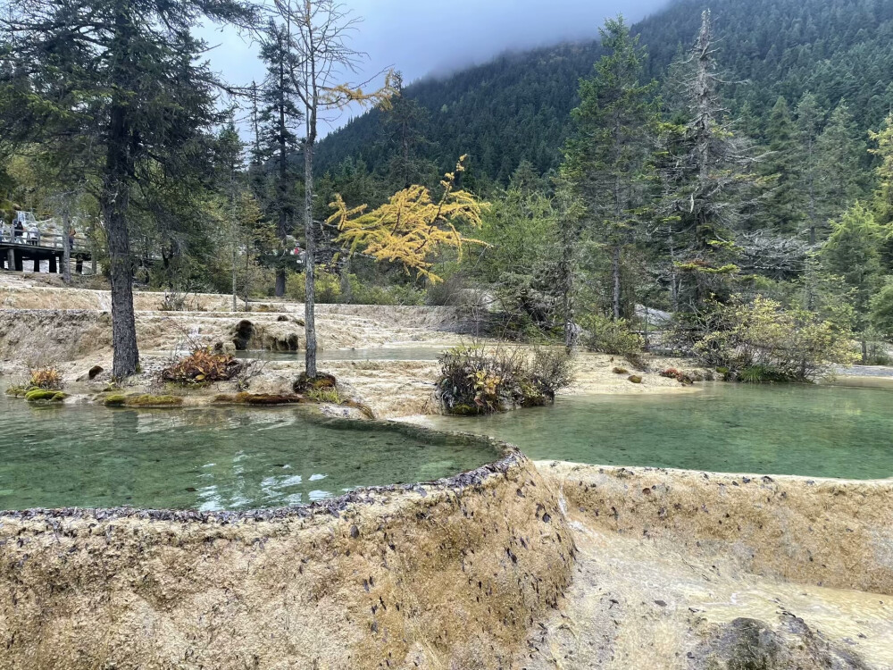 黄龙风景区位于四川省阿坝藏族羌族自治州松潘县境内 ，是中国唯一保护完好的高原湿地，也是国家 AAAAA 级旅游景区、世界自然遗产 。