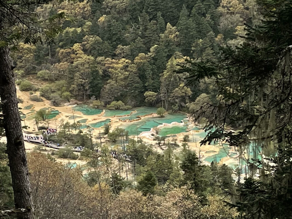 黄龙风景区位于四川省阿坝藏族羌族自治州松潘县境内 ，是中国唯一保护完好的高原湿地，也是国家 AAAAA 级旅游景区、世界自然遗产 。