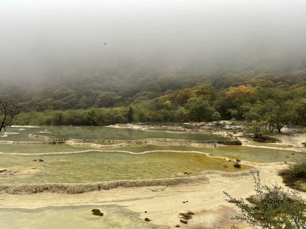 黄龙风景区位于四川省阿坝藏族羌族自治州松潘县境内 ，是中国唯一保护完好的高原湿地，也是国家 AAAAA 级旅游景区、世界自然遗产 。