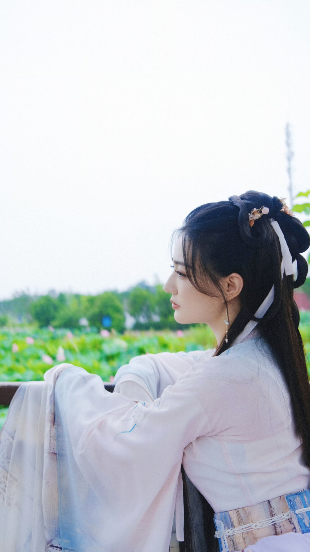 披荆斩棘的大小姐 沈丹青 徐璐