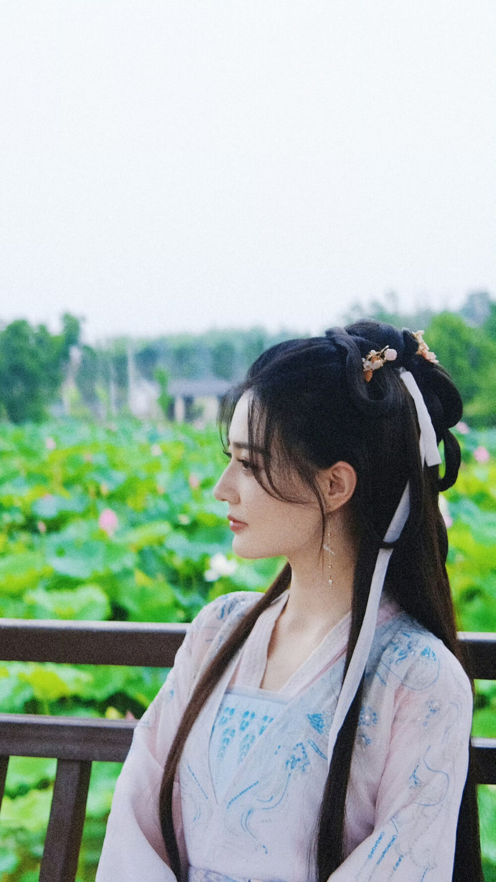 披荆斩棘的大小姐 沈丹青 徐璐