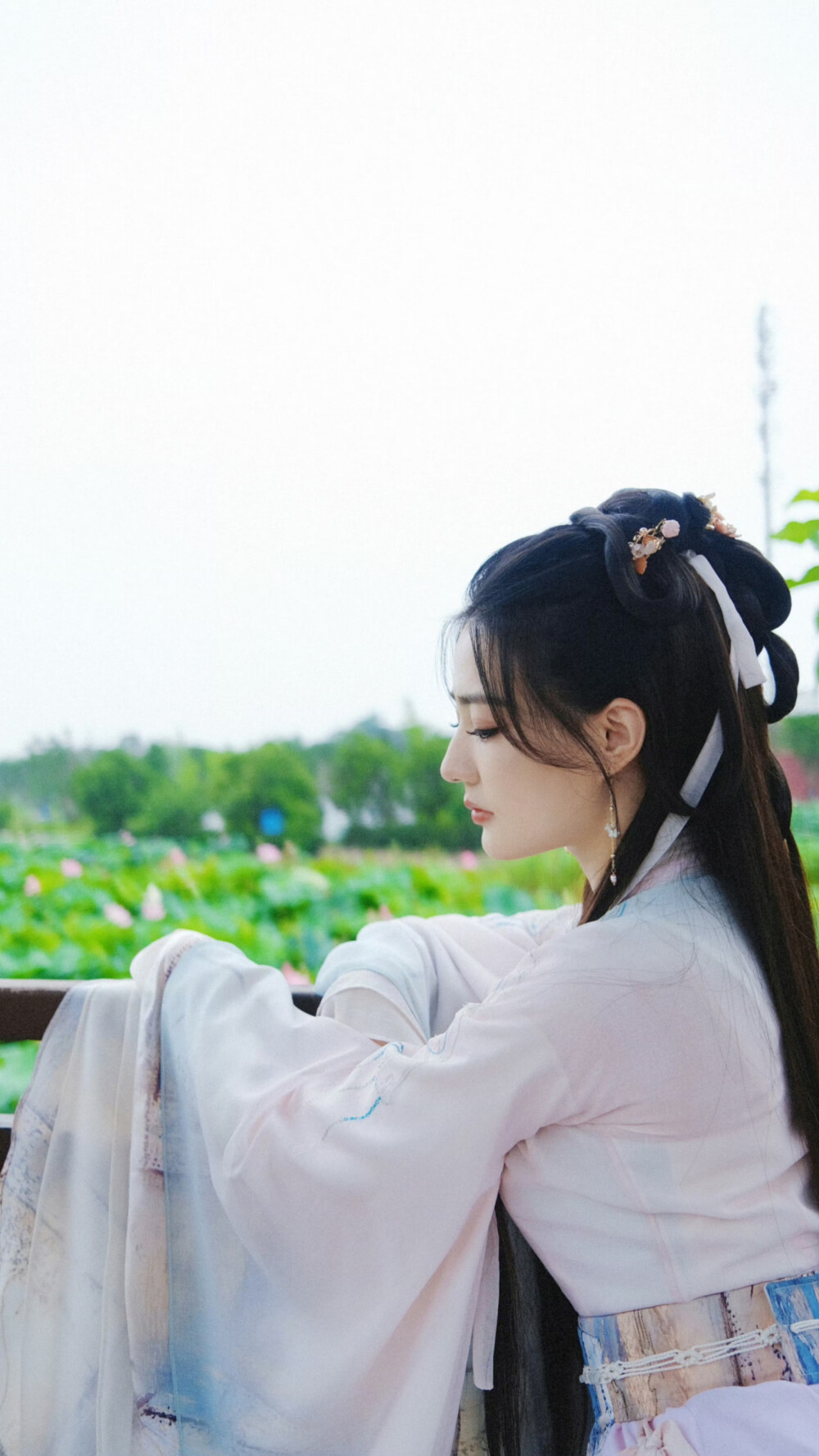 披荆斩棘的大小姐 沈丹青 徐璐