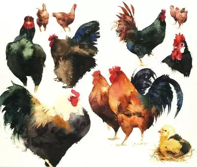 水彩艺术家 Kate Osborne 水彩画作
